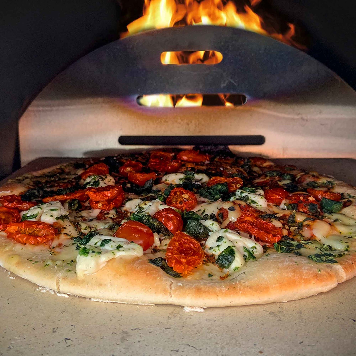 Portable Wood-Fired Pizza Oven with Cover/Carry Bag and Trolley - DG258