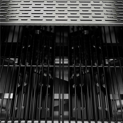 2 Burner Gas BBQ Grill with Piezo Ignition, Built-In Thermometer, Black/Stainless Steel - DG13