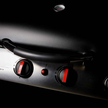 4 Burner Gas BBQ Grill Piezo Ignition, Built-In Thermometer and Cover, Black/Stainless Steel - DG229