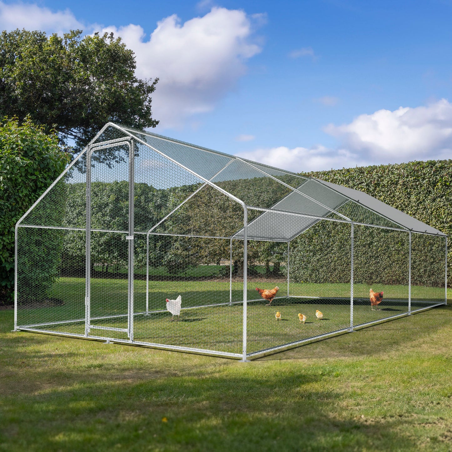 3x6x2m Walk-In Galvanised Steel Chicken Run with Roof Cover & PVC Coated Chicken Wire - DG280
