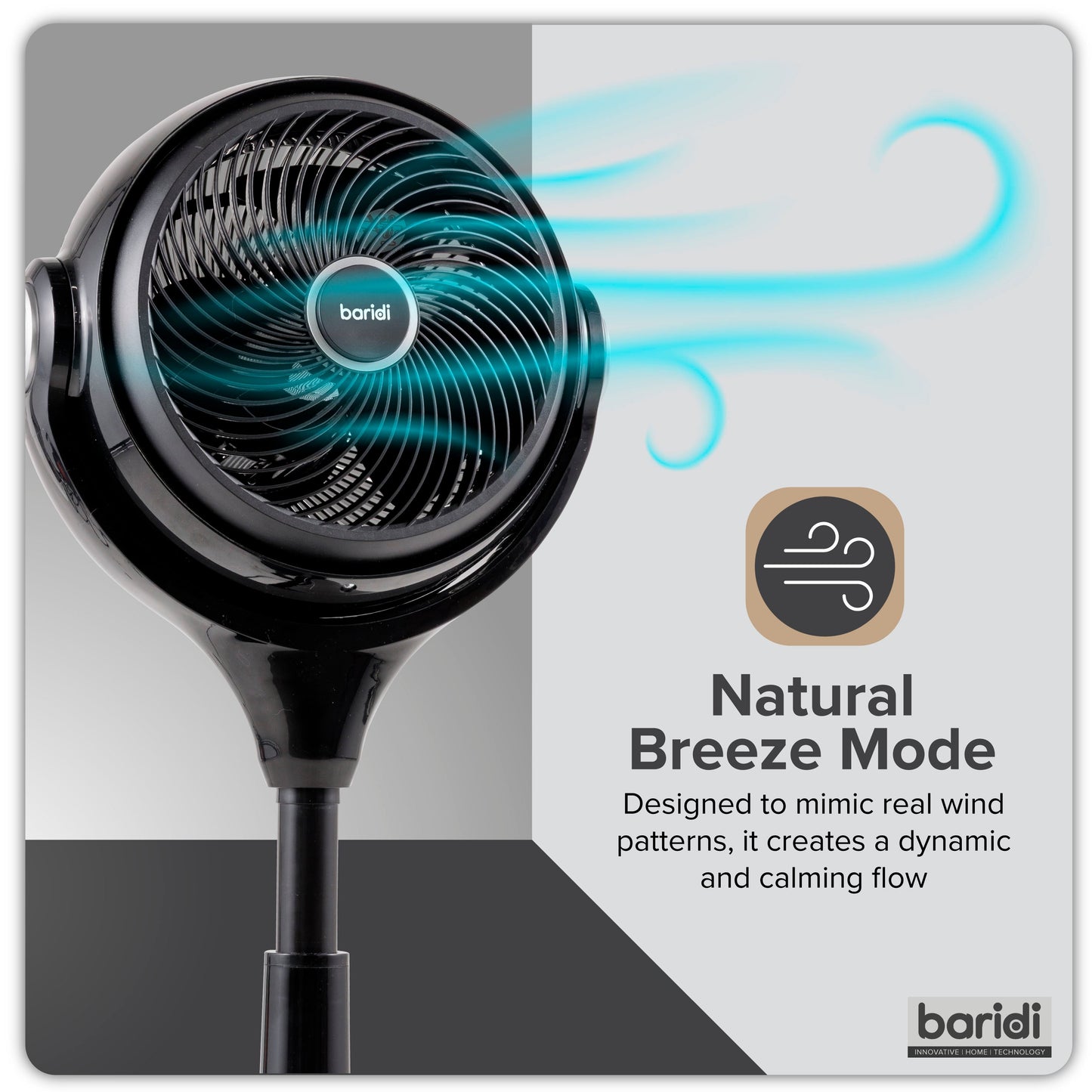 Baridi Pedestal Fan with Remote Control 10-Inch - Black - DH143