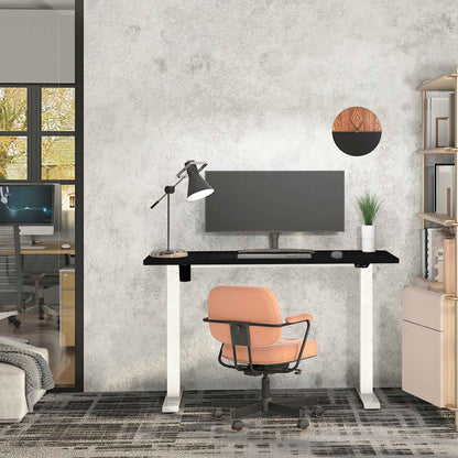 Single Motor Height-Adjustable Electric Sit & Stand Desk with Black Desktop - DH69