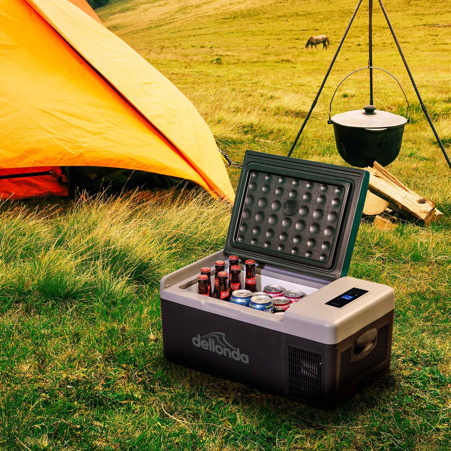 15L Portable Car Fridge, Freezer, Cool Box, 12/24V Compressor - DL12