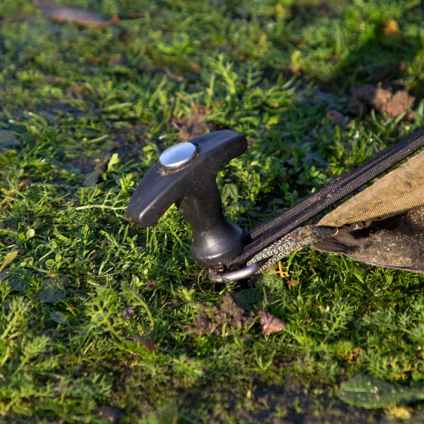 2-Man Fishing Bivvy/Carp Tent, Lightweight & Waterproof with Two Bedchairs - DL142